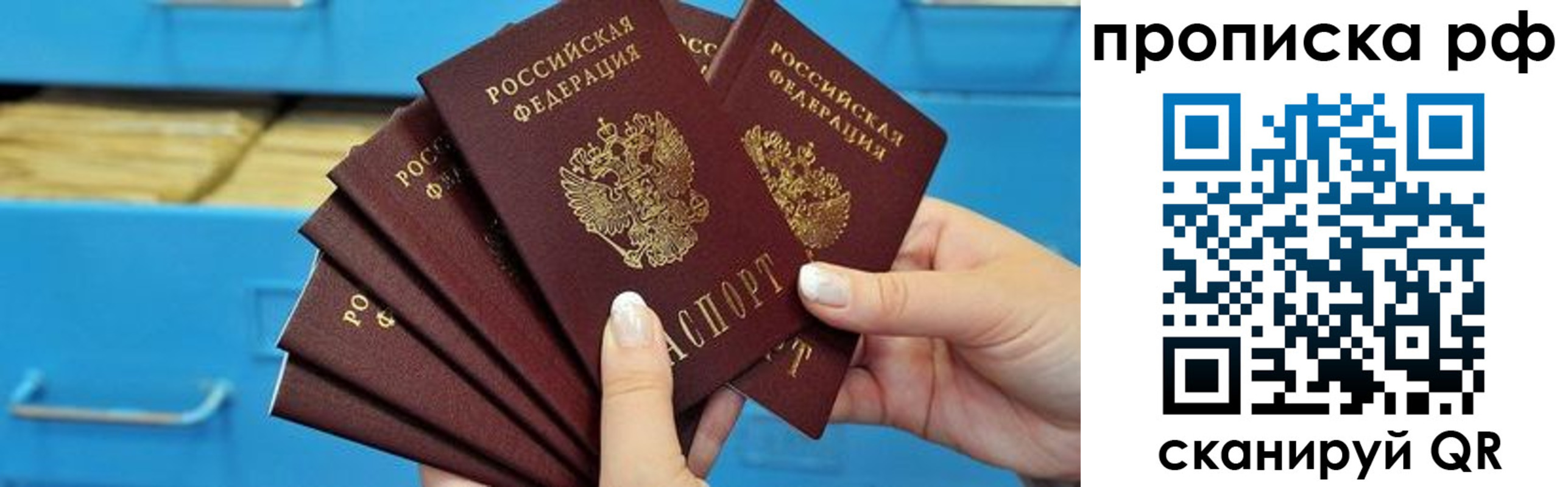 прописка поиск в Зиме